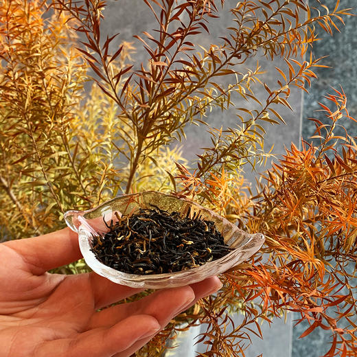 【品鉴装】云嘉金雪桂花红茶6小袋 商品图2