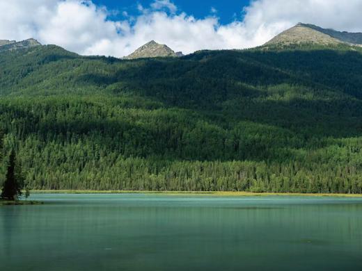 阿勒泰·夏牧场 | 喀纳斯 禾木 白哈巴 新疆北疆7日之旅 商品图12