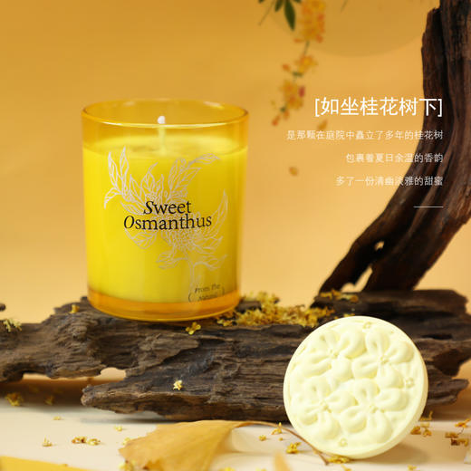 【文创香薰蜡烛礼盒】小众香氛礼品 桂花套装高香薰伴手礼中秋礼物  商品图2