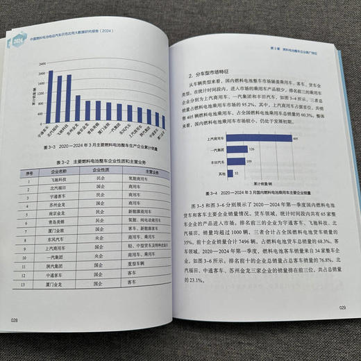 官网 中国燃料电池电动汽车示范应用大数据研究报告 2024 中国汽车技术研究中心有限公司 燃料电池 氢能 储氢 新能源汽车研究书籍 商品图4
