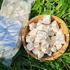 生态云南茯苓  | 人工采挖 自然晾晒 | 公平贸易 *Poria  yunnanensis 商品缩略图0