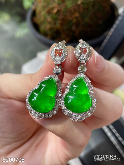 高冰种艳绿葫芦耳坠【5200708】具体价格微信咨询 商品图5