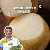 有机黄金梨 | 合作生产 *Organic gold-pear | Partner Production 商品缩略图0