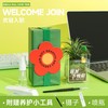 涂鸦造物办公室桌面绿植生日礼物教师节礼空气凤梨 商品缩略图0