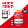 百威啤酒mini红罐淡色拉格255ml*24听小罐整箱装京东自营喜酒踏春送礼 商品缩略图4