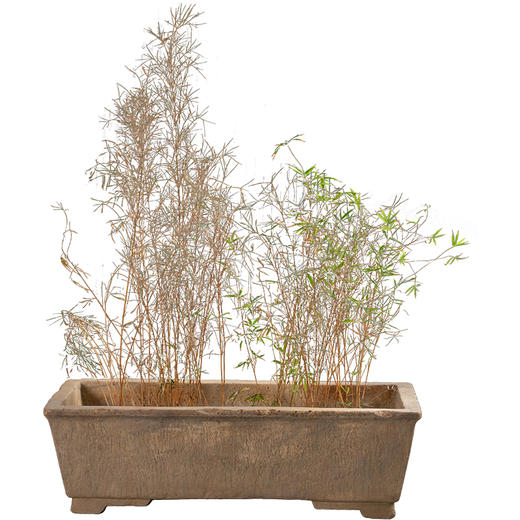 清	石雕长方赏盆 商品图5