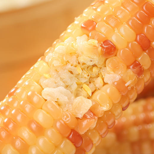 云南花糯玉米 小玉米 商品图2