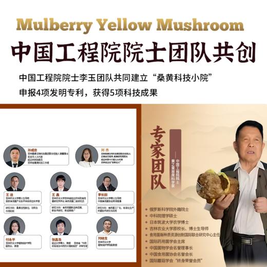 长白山三年有机桑黄30g/盒分装版 商品图2