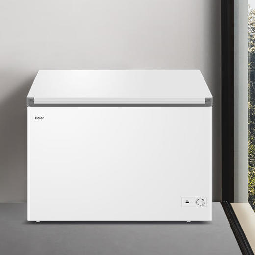 海尔（Haier）300升卧式低霜商用家用冰柜 大容量冷藏柜冷冻柜小冰柜家用母乳小型冰箱冷柜BC/BD-300GHPDZ 商品图4