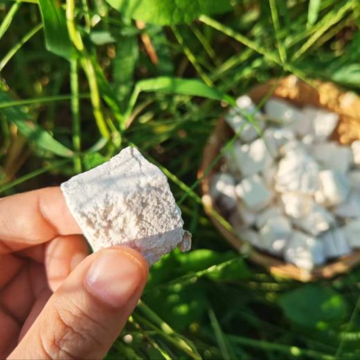 生态云南茯苓  | 人工采挖 自然晾晒 | 公平贸易 *Poria  yunnanensis 商品图2