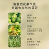 艾薇丹月桂守护天然精油洗发露 300ml 商品缩略图1