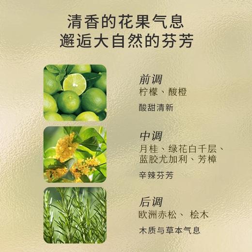 艾薇丹月桂守护天然精油洗发露 300ml 商品图1