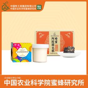 两瓶N45+一盒阿胶糕