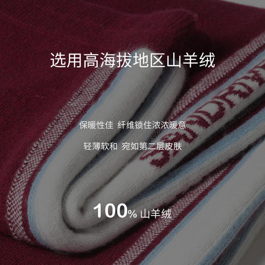 羊绒女半裙  SJF97K281N 商品图2