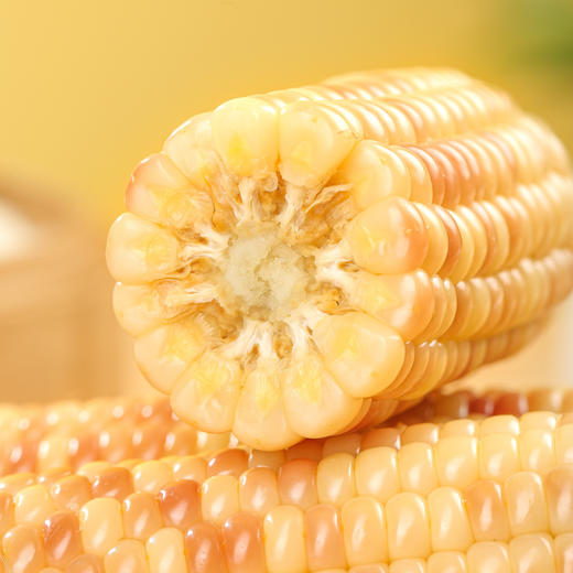 云南花糯玉米 小玉米 商品图1