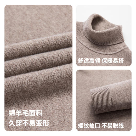 【100%绵羊毛】圣得西高领男款针织羊毛衫2025年秋季新款加厚毛衣 商品图4