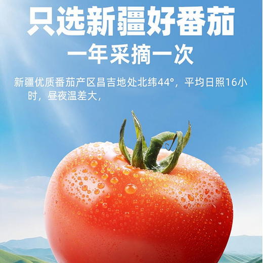 【自营】酷番 复合型番茄果蔬汁 300g*6瓶 商品图4