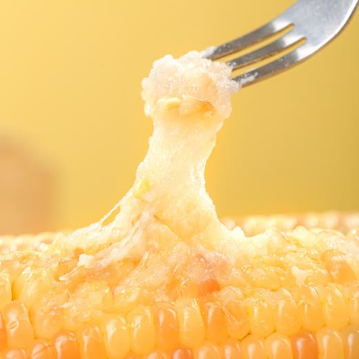 云南花糯玉米 小玉米 商品图3