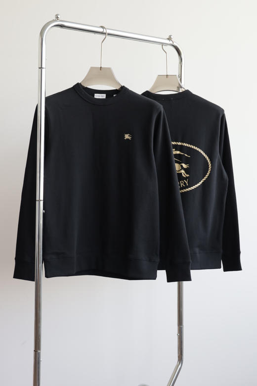 B.B 25新款 纯棉毛圈套头卫衣外套 WY900 商品图0