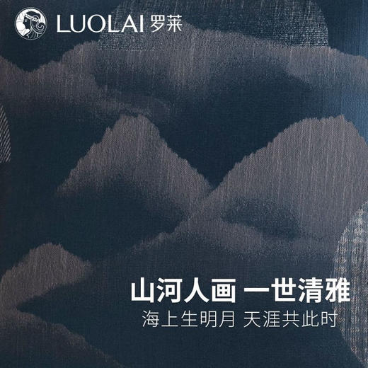 罗莱软装-关山月影抱枕 45*45 商品图2