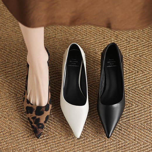 【预售5天】秋冬新款尖头浅口高跟鞋豹纹时尚百搭气质通勤单鞋DMJFG&82598F 商品图1