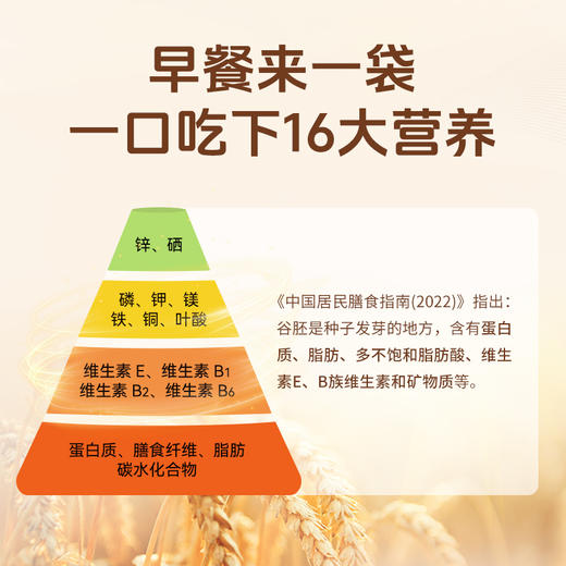 优选| 拾沃锁鲜小麦胚芽 高纤高蛋白  冲泡即食  450g/盒（30g*15）（下单即送小条试吃装） 商品图2