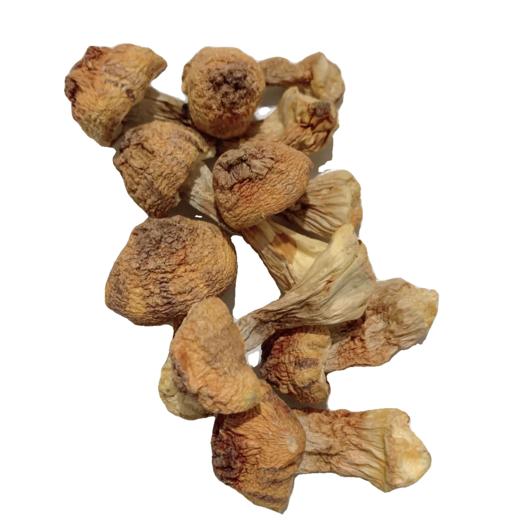 巴西菇干货食材 商品图5