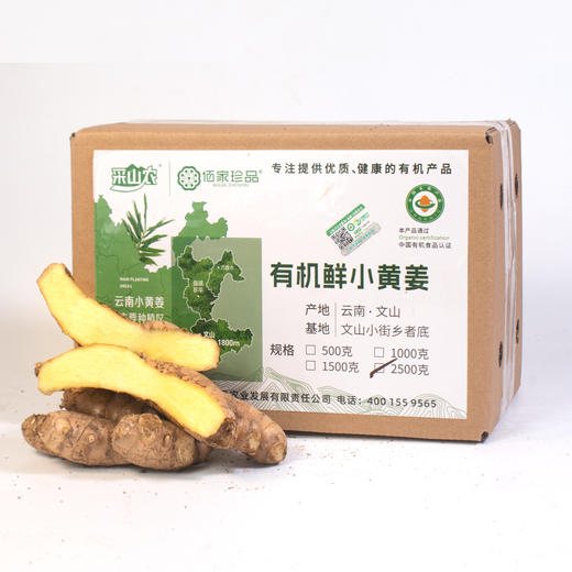 【云惜严选】有机云南文山水洗老姜/带泥老姜 现挖食用做菜调味炖煮 商品图2