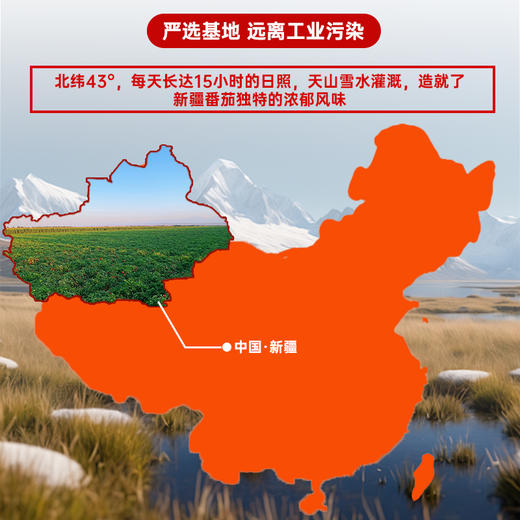 【自营】酷番 新疆蕃茄丁罐头 400g*6罐 商品图6