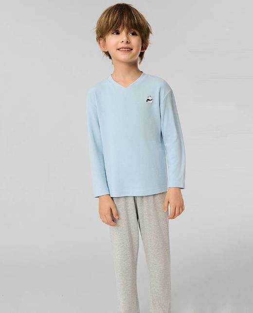 【春上新】8楼爱慕儿童Aimer Kids男孩奶皮贴贴套头长袖睡衣AK241J511，吊牌价359元 商品图2