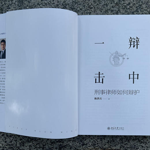 一辩击中：刑事律师如何辩护 陈洪兵 著 北京大学出版社 商品图2