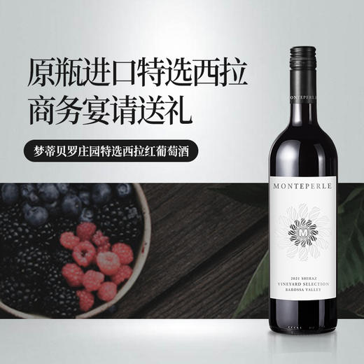 梦蒂贝罗庄园特选西拉红葡萄酒2021 商品图1