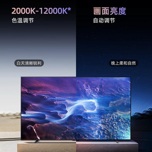 海信（Hisense）电视 100D50QD 商品图6