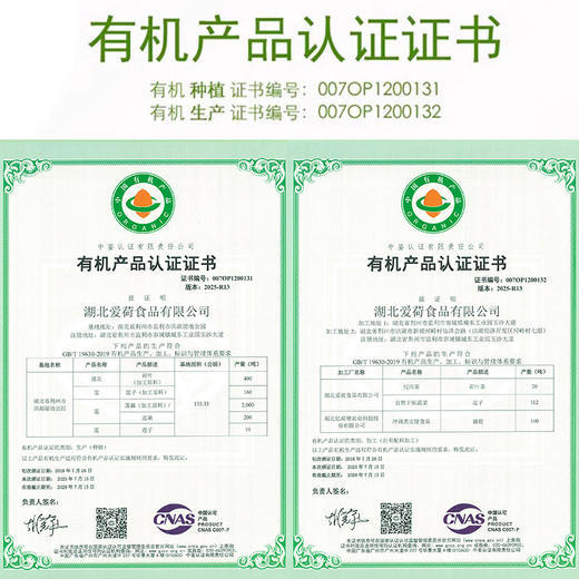 正宗洪湖有机莲子 鸳鸯红皮莲白莲 去芯 无需泡水 易煮粉糯 商品图8