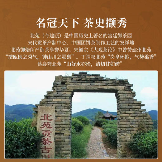 正山堂 北苑贡茶 骏眉中国正宗功夫红茶茶叶自饮口粮茶罐装送礼100g 商品图5