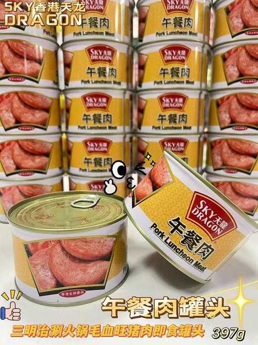 天龙 午餐肉397g    4893757100453 商品图0
