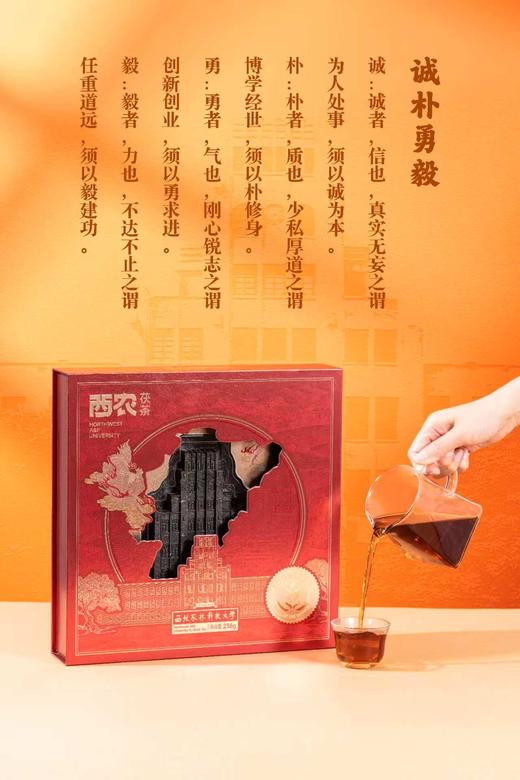 西农茯茶 商品图0