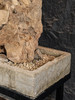 清	太湖石园林赏石及方形石盆 商品缩略图4