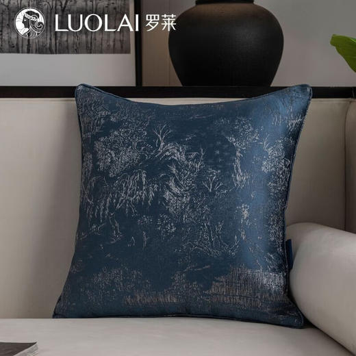罗莱软装-氤氲抱枕 45*45 商品图1