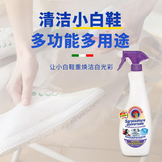 大公鸡管家 多能油污净600ml*2 薰衣草香 商品图3