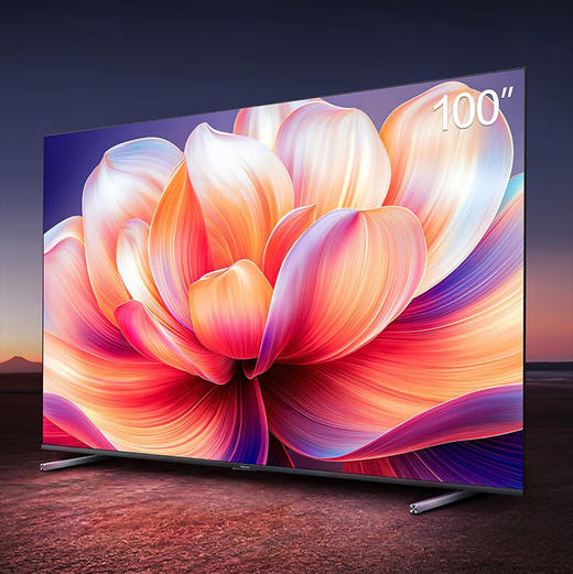 海信（Hisense）电视 100D50QD 商品图0