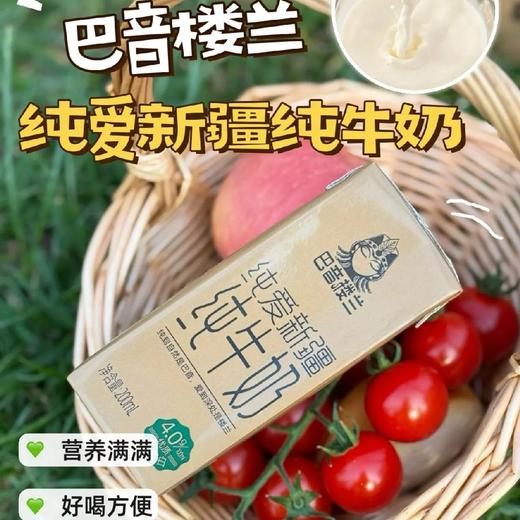 巴音楼兰  纯牛奶 商品图0