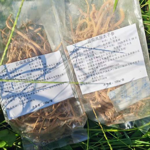 云南高原太子参  | 人工采挖 自然晾晒 | 公平贸易 *Pseudostellaria  heterophylla  in  Yunnan  Plateau 商品图3