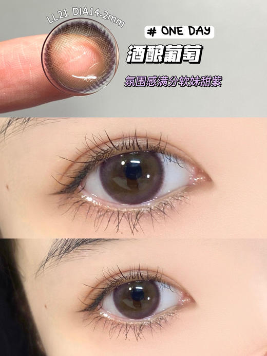 lillily  日抛 【酒酿葡萄】14.2mm 商品图1