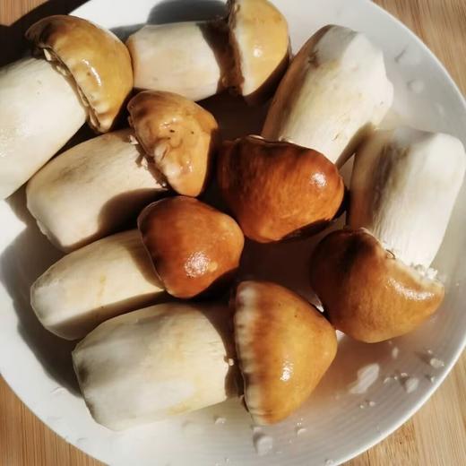 巴西菇干货食材 商品图3