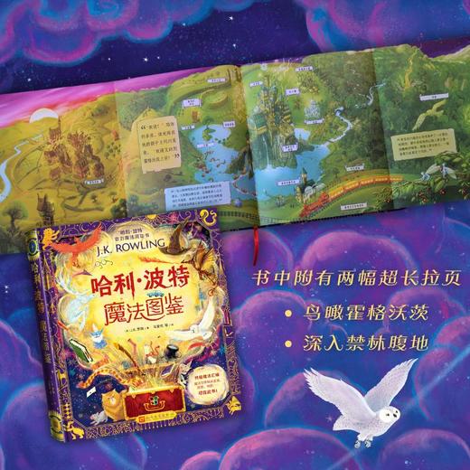 哈利波特魔法图鉴(赠品版) 商品图4