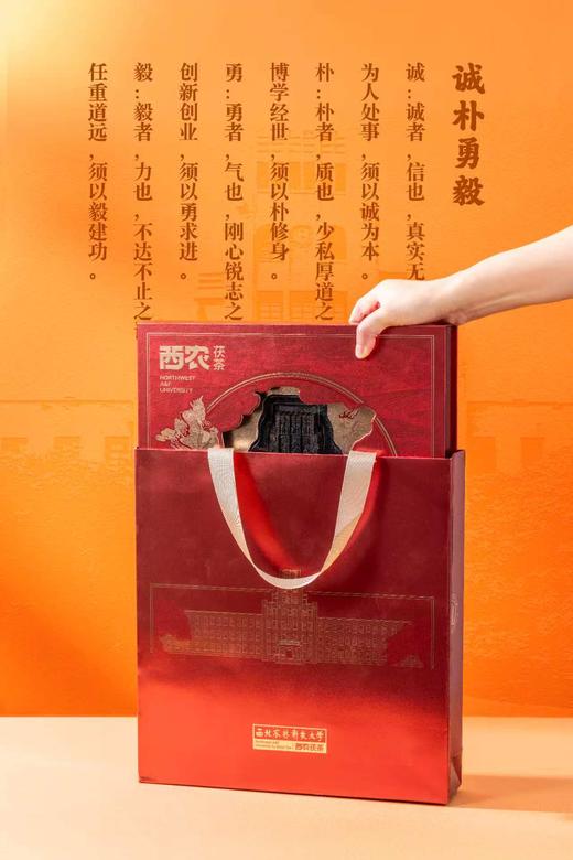 西农茯茶 商品图9