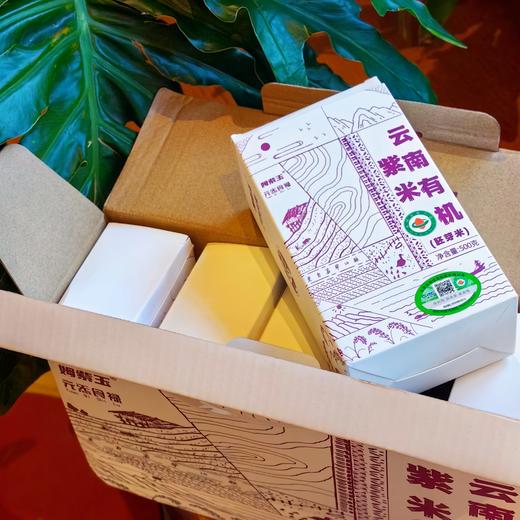 [屁侠推荐]姆紫玉 云南有机紫米胚芽米 哈尼紫糯老种 约80%胚芽鲜活保留  商品图0