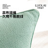 罗莱软装-雨雾抱枕 45*45 商品缩略图2
