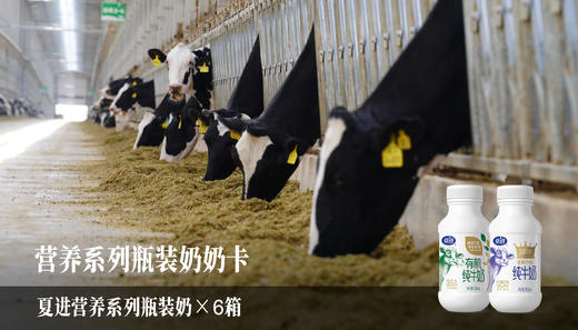 【限时8.5折】营养系列瓶装奶奶卡 商品图0